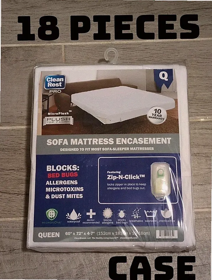 Professional Clean Sofa Bed Sectional