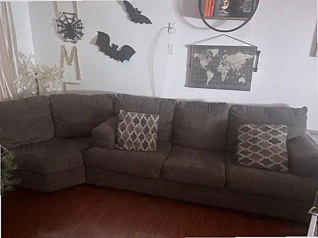 2 Piece Couch Set