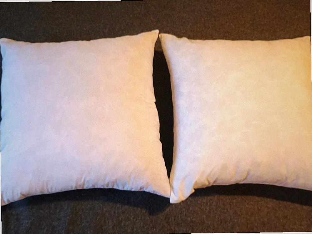 2 SOFA BED 18" x 18" White Down FEATHER PILLOW Inserts. Pick out your covers