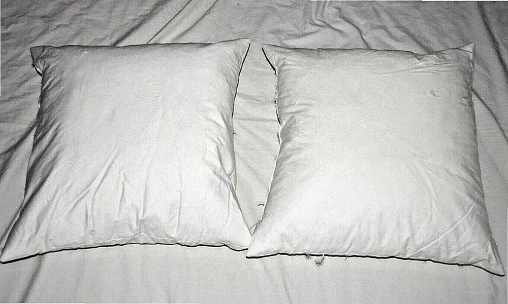 2 WEST ELM SOFA BED 18" x 18" White Waterfowl FEATHER PILLOW decor EUC Comfy