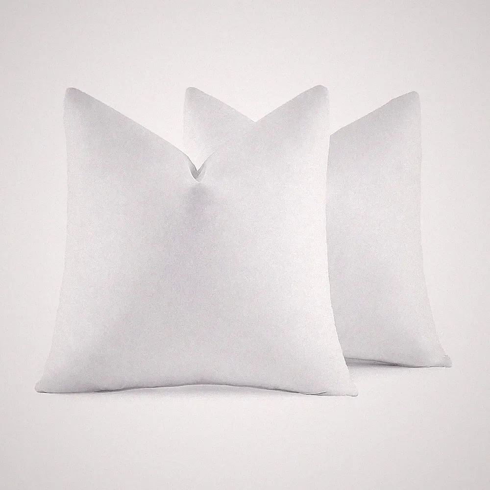 20x20 Pillow Inserts,Set of 2 Down Feather Throw Pillows for Couch Sofa Bed,...