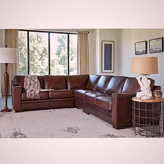 4-pc Top Grain Leather Sectional Sofa Coil Seat Cushions Wood Frame Dark Brown