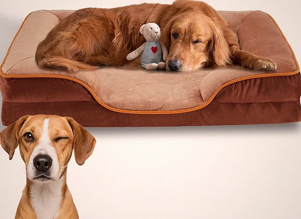 42" Pet Sofa Bed - Brown, 4-in-1, Memory Foam, Washable Cover, Removable Padding