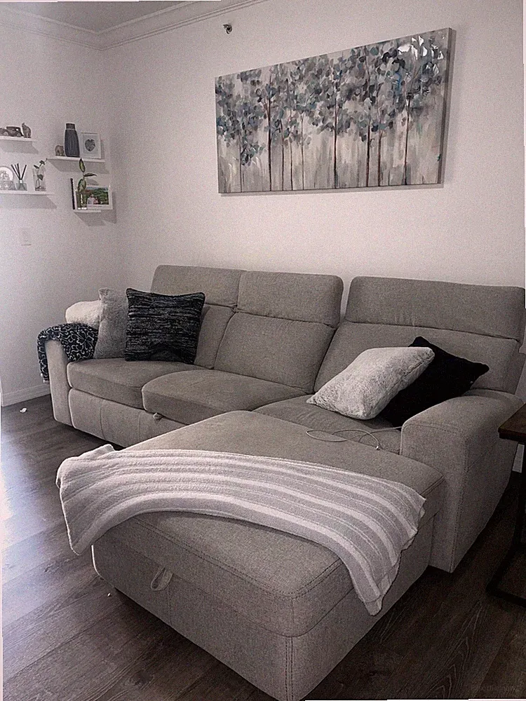 Amber Fabric Double Chaise Sleeper Sectional