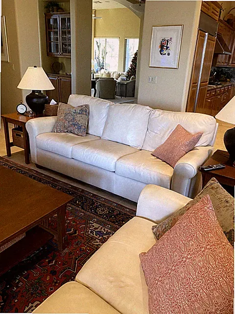 American Leather Co. Couches