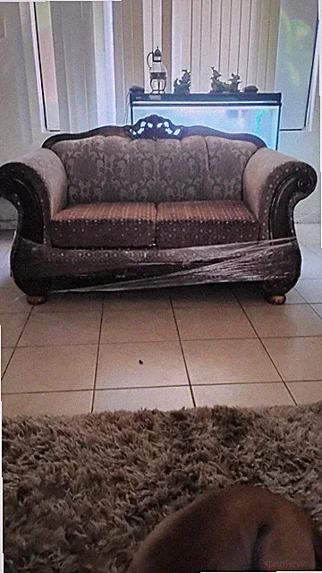 Antique European Couch Vintage Collection Beautful Piece To Work with Minnor