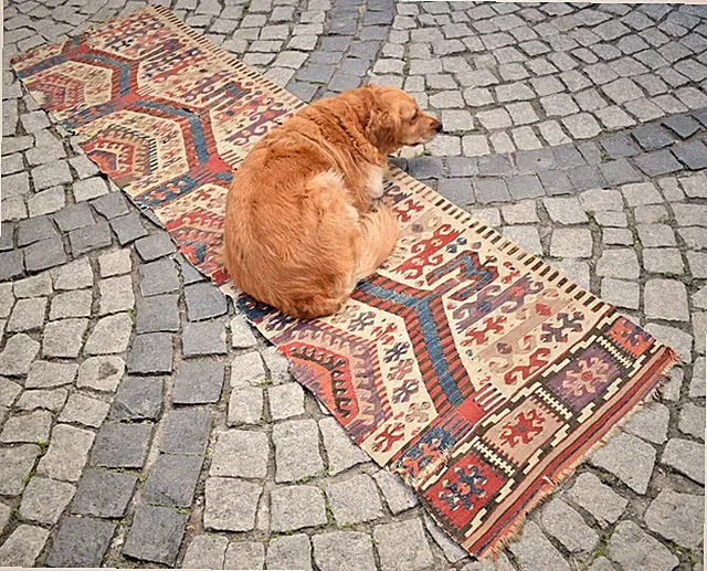 Antique Turkish Rug 26'' x 96'' Collector's Item Fragment Aydin Wall Hanging Rug