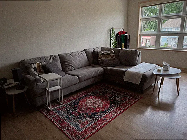 Ashley’s 2-Piece Sectional. Good condition (only 3 years of use)
