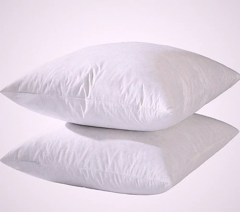 basic home® Hotel-Style Goose Feather Pillow Insert for Sofa & Bed - 100% Odo...