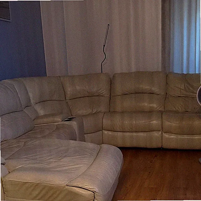 Beige Leather Sectional Sofa Couch with Chaise, Solid, Living Room