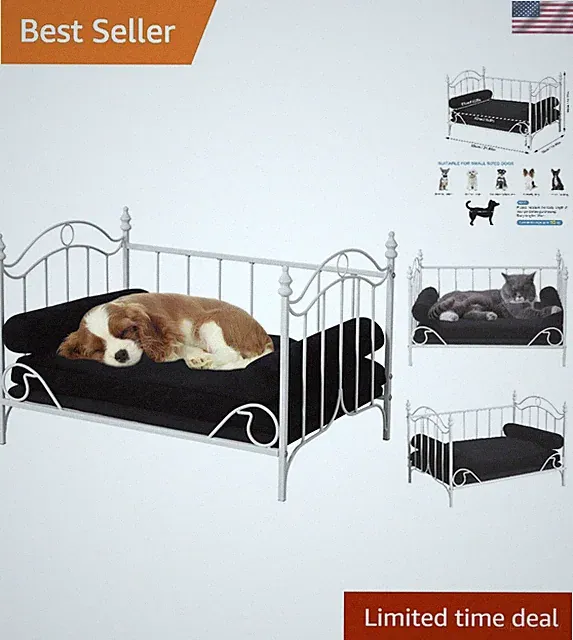 Breathable White Pet Bed with Metal Frame for Small Dogs & Cats - 21.65x14.96