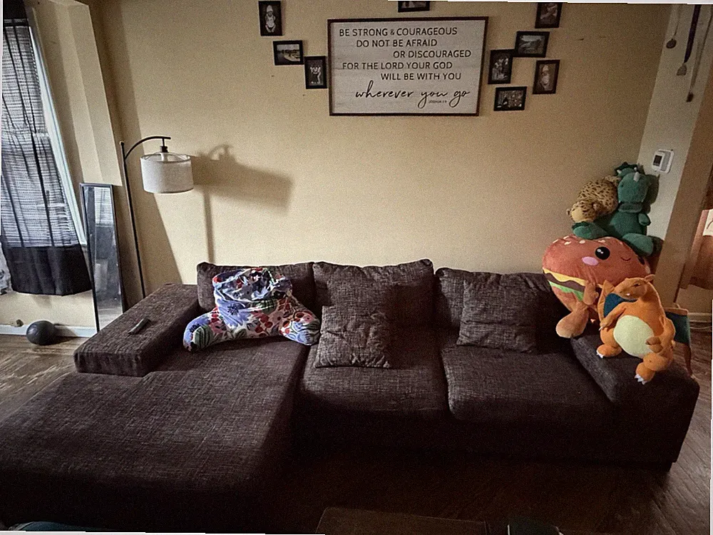 Brown Fabric Sectional Sofa with Chaise, Solid Pattern, Wood Frame