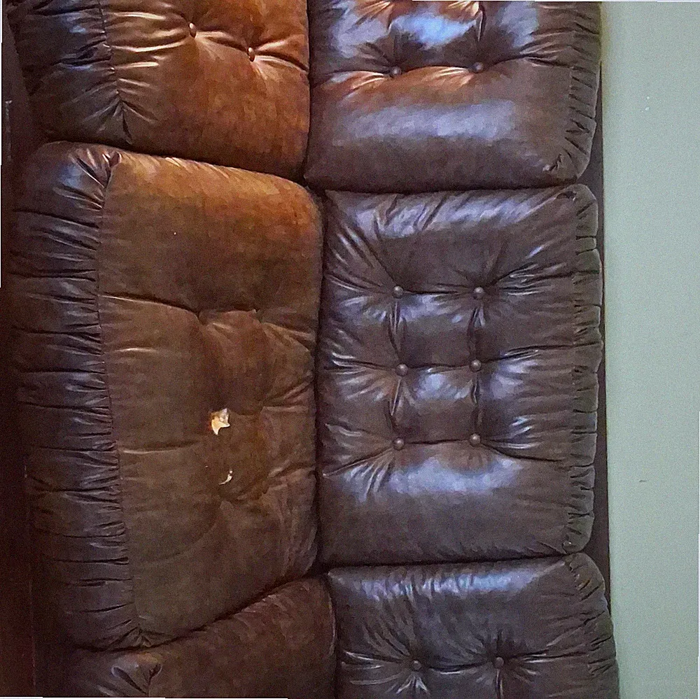 Brown Tufted Leather Sofa, Solid Pattern, Wood Frame, Living Room