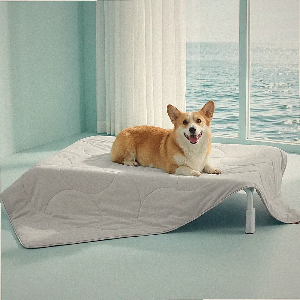 Cooling Pet Blanket for Dogs Cats Washable Ice Silk Sofa Bed Crate Mat