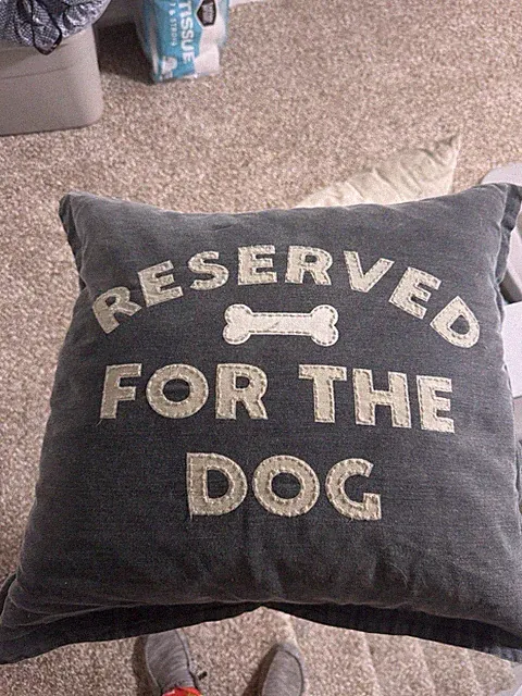 Couch Pillows