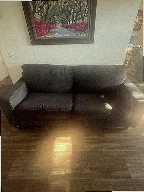 couch queen sleeper by Ashley comes with 4 year repair insurance