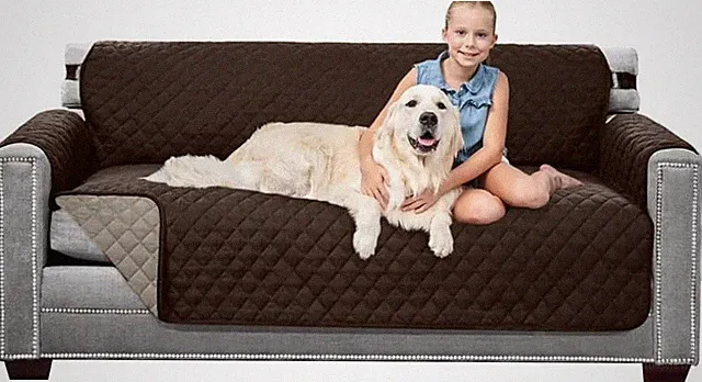 Couch Sofa Slipcover for Dogs with Strap Chocolate Beige