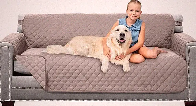 Couch Sofa Slipcover for Dogs with Strap Light Taupe