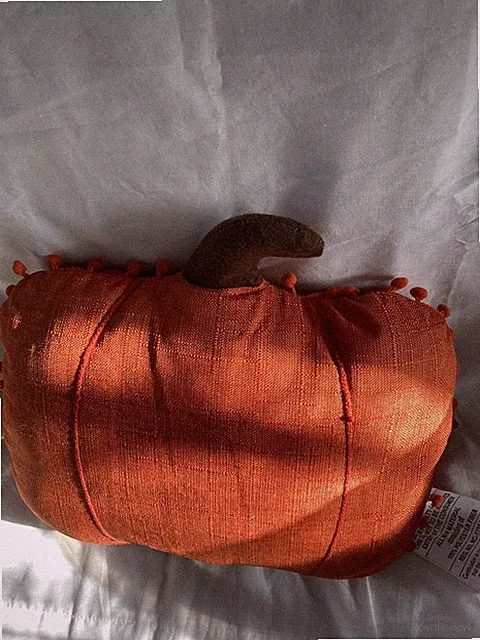 Couch Throw Pillow FREE SHIPPING