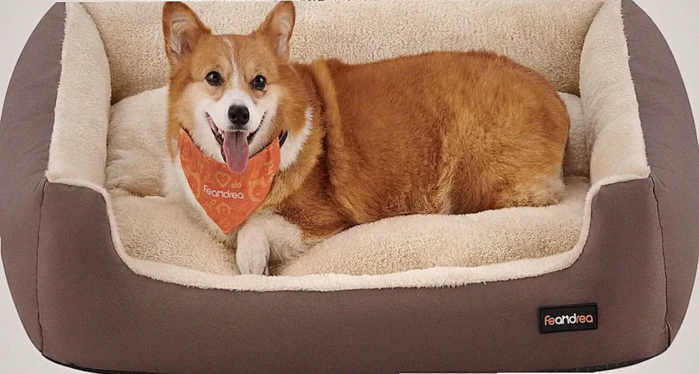 Cozy Dog Sofa Bed with Reversible Cushion & Non-Slip Base, Large Size