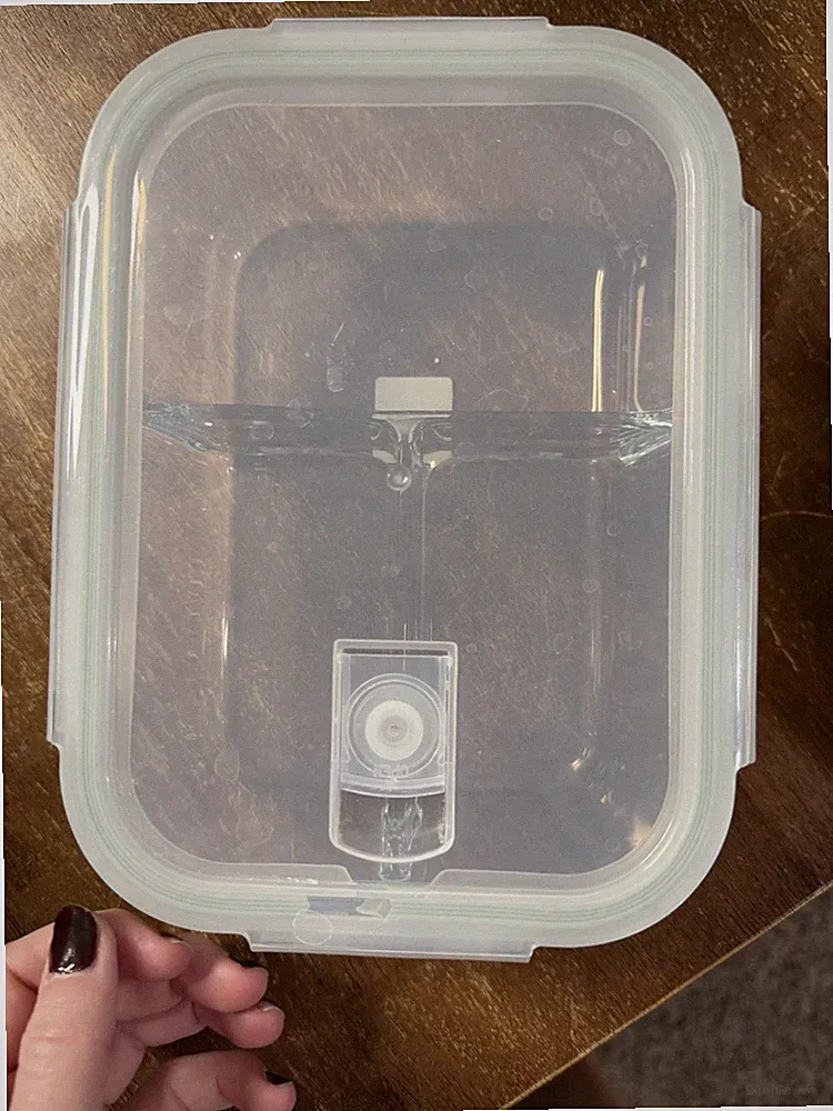 Crate and Barrel 3 section glass lunch tubber ware