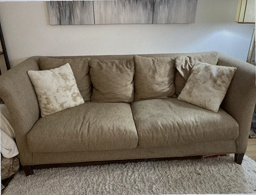 Crate And barrel Couch Sofa