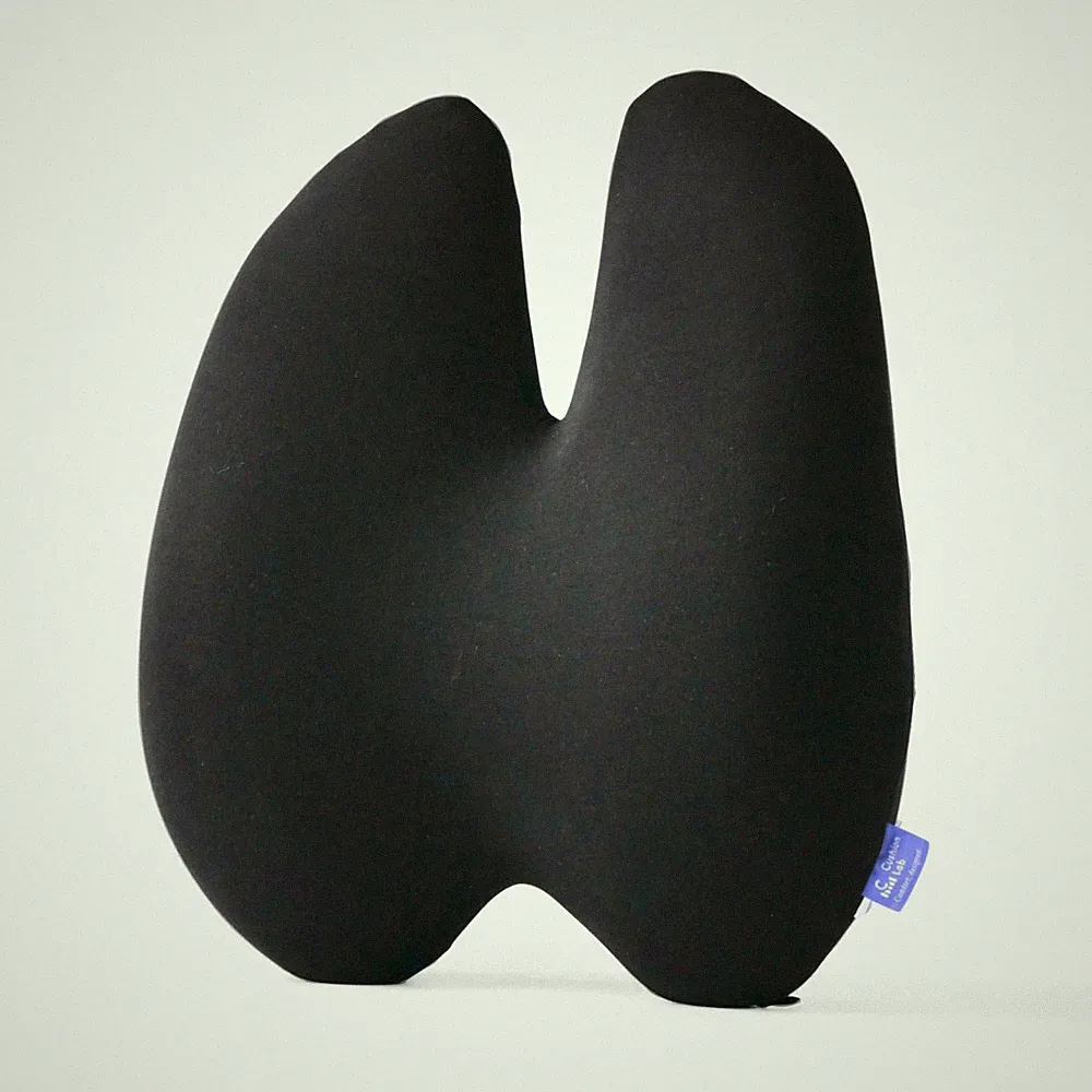 CUSHION LAB Extra Dense Lumbar Pillow - Ergonomic - Black - No Box