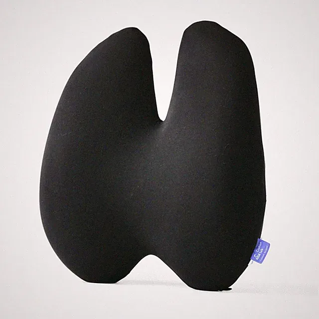 CUSHION LAB Extra Dense Lumbar Pillow - Patented Ergonomic Multi-Region Firm...