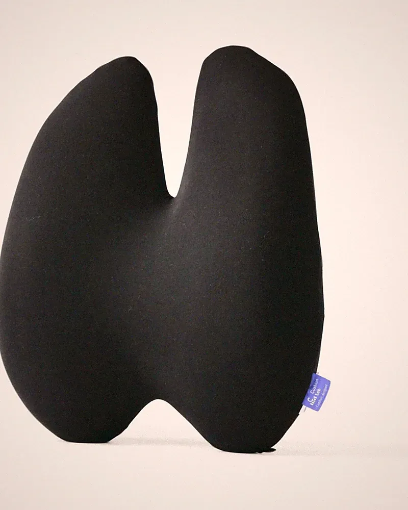 CUSHION LAB Extra Dense Lumbar Pillow, Support for Lower Back Pain Relief