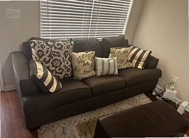 Dark Grey Couch