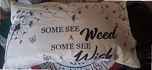 Decorative Couch/Bed Pillow