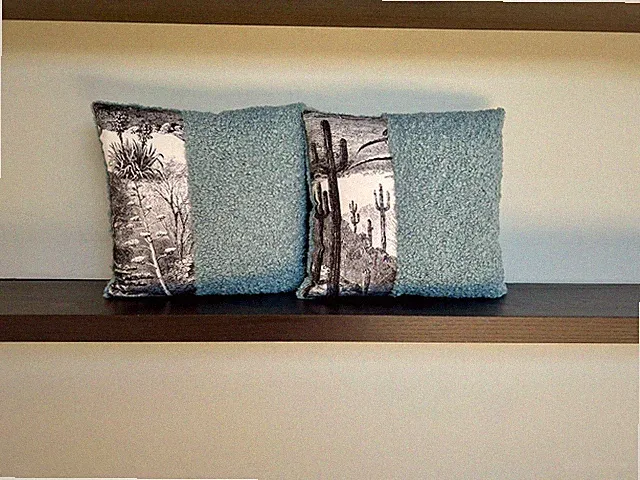Designer Pillows