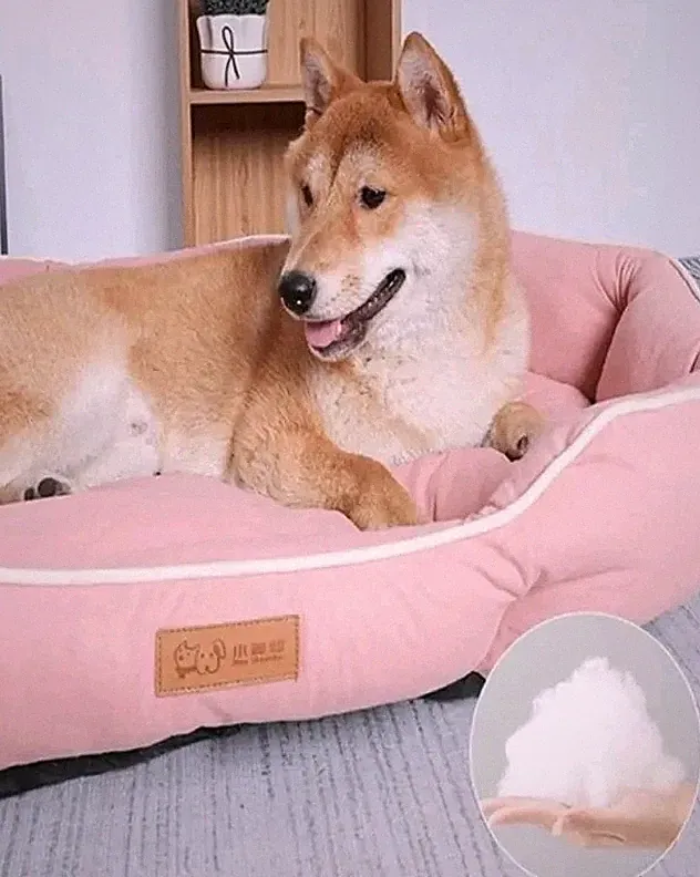 Dog Bed for M/L Size Dogs with Non-Slip Base Scratch Resistant Pet Sofa