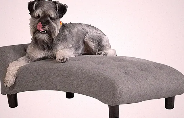 Elegant Luxury Cat Sofa with Plush Cushion - Easy Assembly, Gray