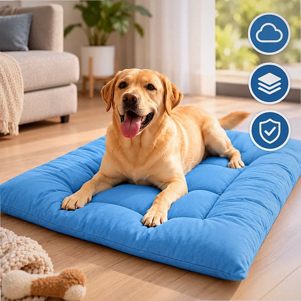 Extra Plush Sofa Bed
