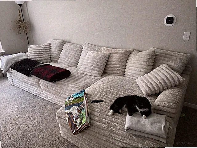 Faux Fur Sectional Couch