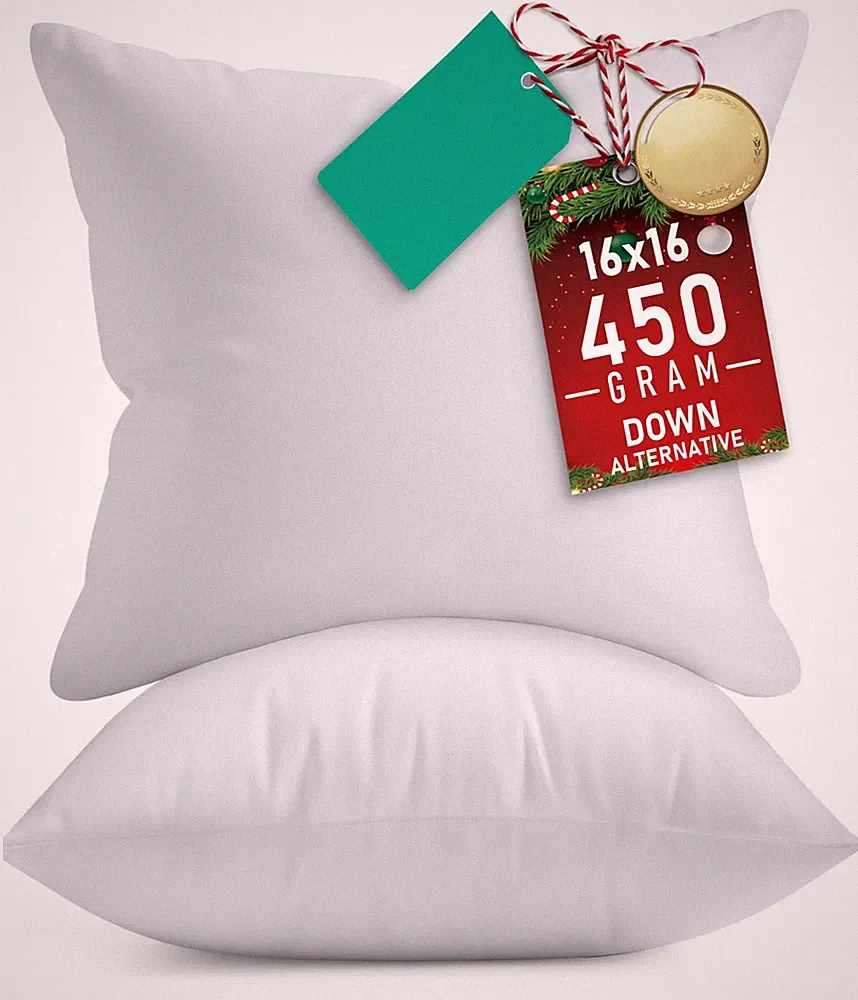 Fluffy Pillow Inserts 16x16, 2 Pack, Soft Cushions For Couch Bed, White