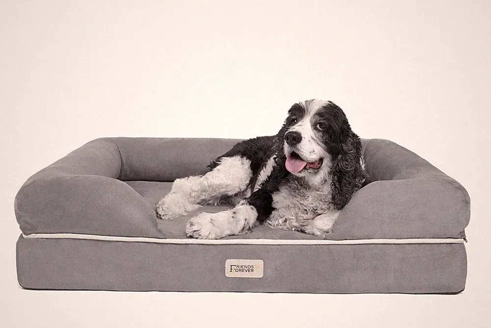 Friends Forever Large Dog Bed Couch, Orthopedic Pet Sofa Memory Foam | Dog Co...