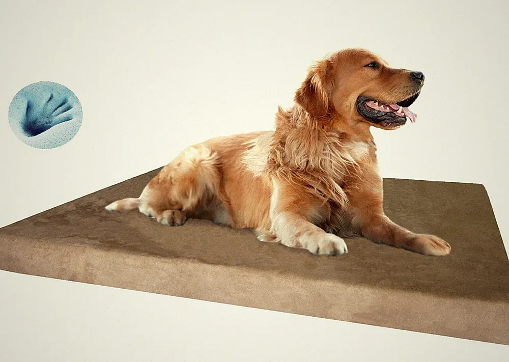 Gel Infused Waterproof Memory Foam Pad Pet Bed for Medium to Extra Large XL Dog
