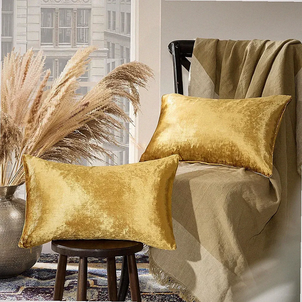 Gold Velvet Decorative Throw Pillow Covers for Sofa Bed 2 Pack Soft Cushion Cove