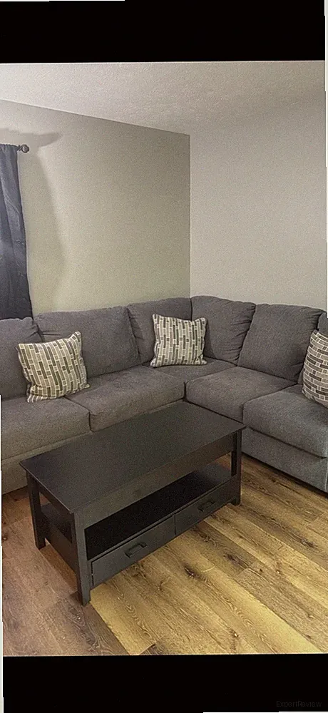 Gray L-Shaped Sectional Sofa, Solid, With Cushions for Living Room
