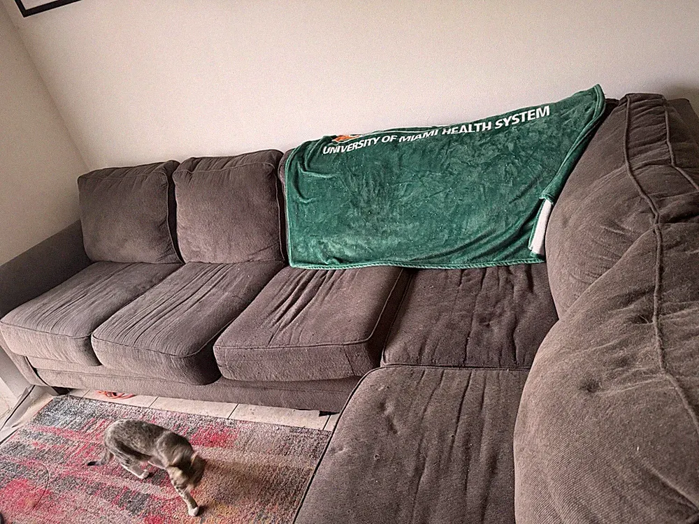 Gray Linen Upholstered Sectional Sofa with Chaise, Solid, 5-Seat