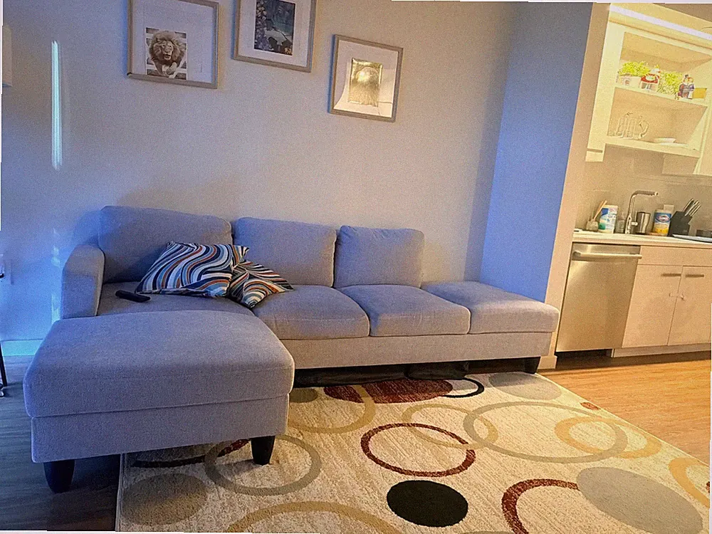 Grey Sectional