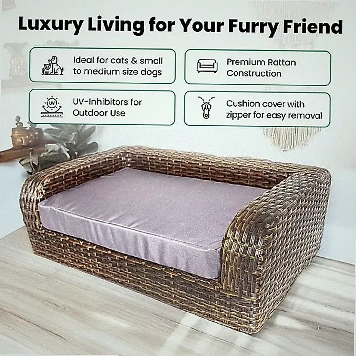 Iconic Pet Rattan Sofa Cat & Dog Bed with Removable Cover, Caramel/Mocha,Opn Box