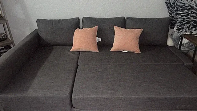 Ikea Couch With Storage And Pullout