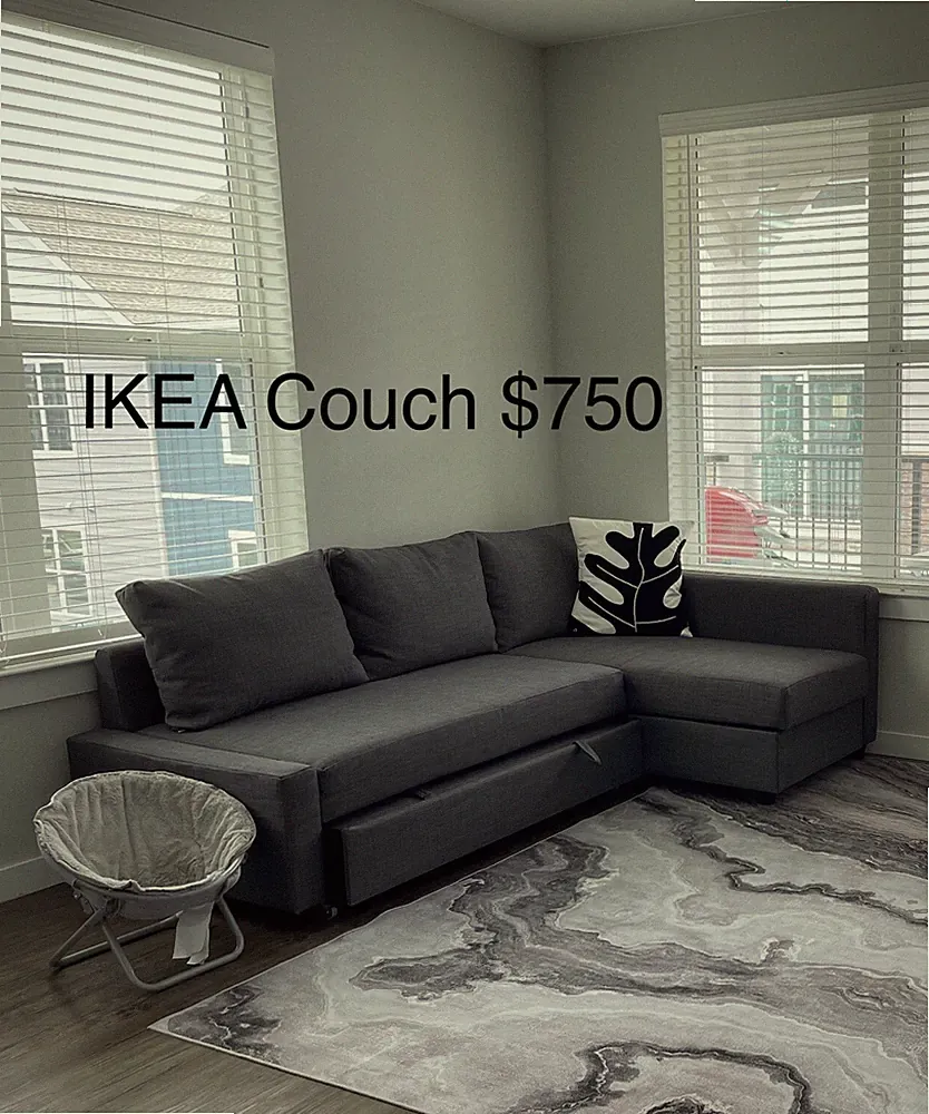 IKEA Frighten Dark Grey Sectional Convertible Couch