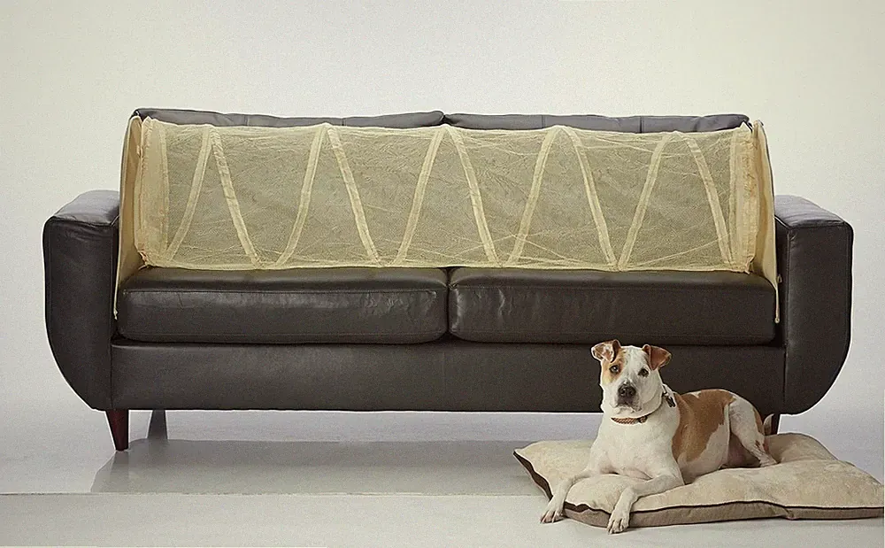 Keep Pets Off of Your Furniture! (Beige)