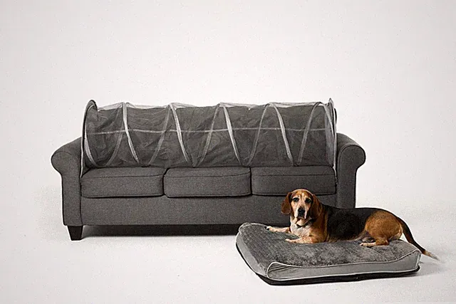 Keep Pets Off of Your Furniture! (Grey)