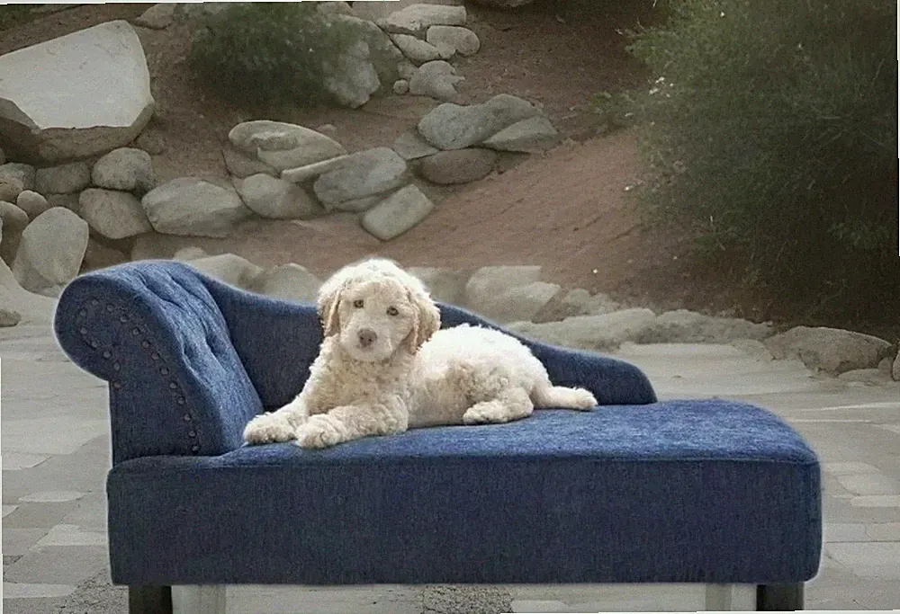 LA-Z-BOY LOUNGER STYLE Upholstery Furniture MED/LRGE Pet Sofa Couch Dog Cat Bed
