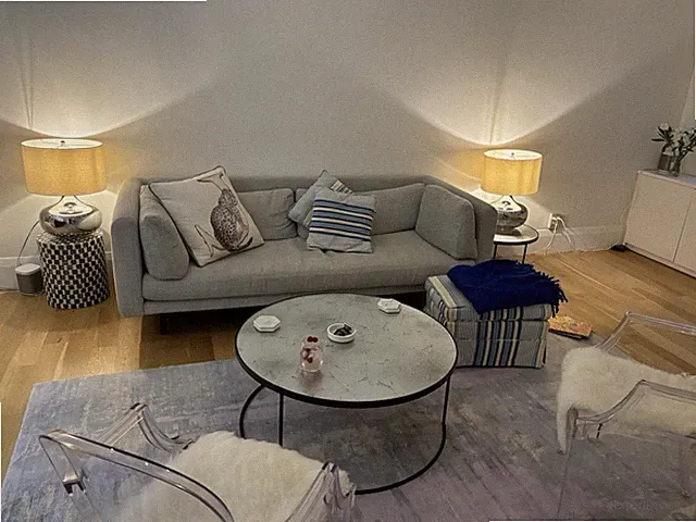 Lappi Scandinavian Sofa Gently Used